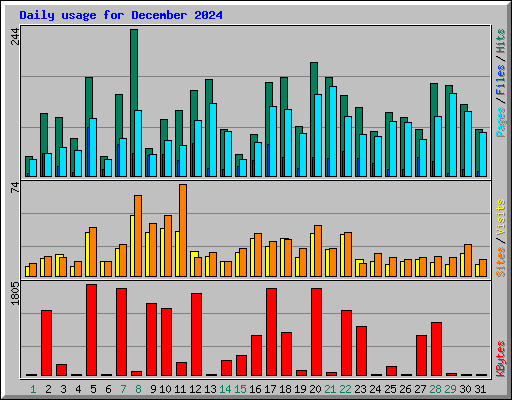 Daily usage for December 2024
