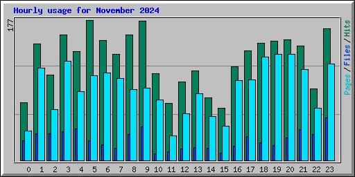 Hourly usage for November 2024