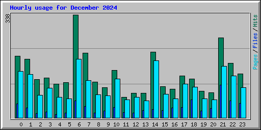 Hourly usage for December 2024
