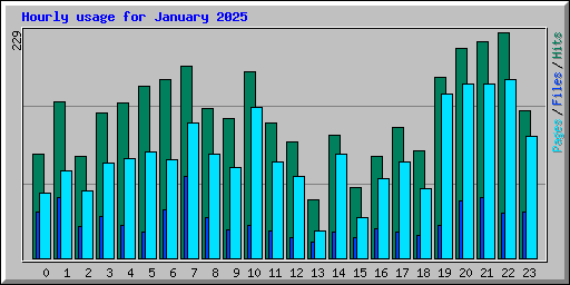 Hourly usage for January 2025