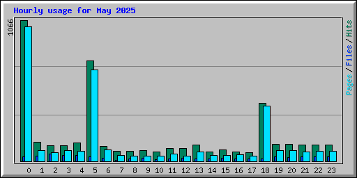 Hourly usage for May 2025