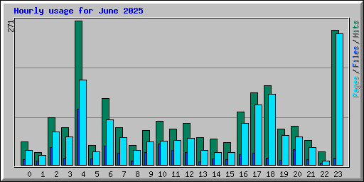Hourly usage for June 2025