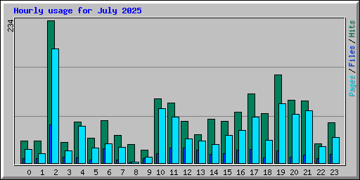 Hourly usage for July 2025